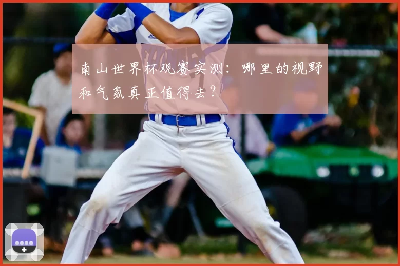 南山世界杯观赛实测:哪里的视野和气氛真正值得去?
