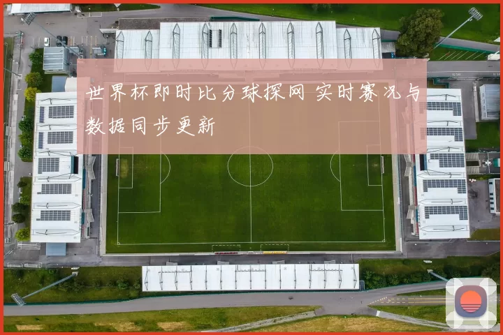 世界杯即时比分球探网 实时赛况与数据同步更新