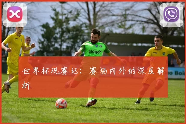 世界杯观赛记:赛场内外的深度解析