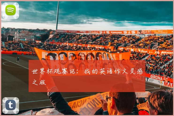 世界杯观赛记:我的英语作文灵感之旅