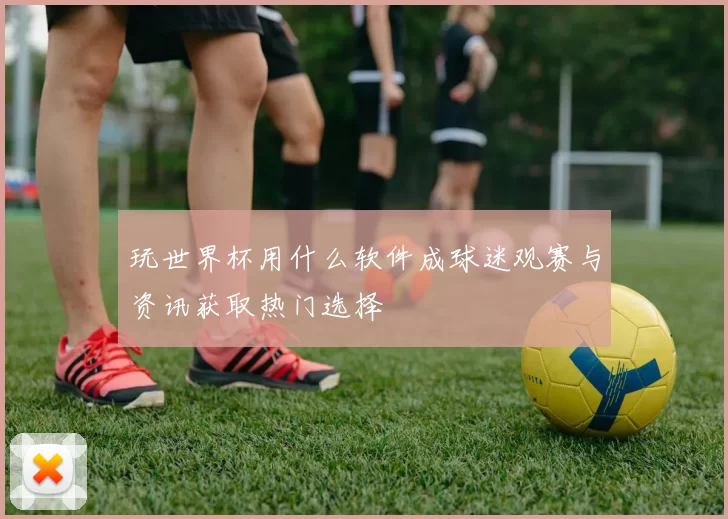 玩世界杯用什么软件成球迷观赛与资讯获取热门选择