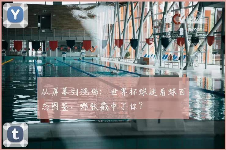 从屏幕到现场:世界杯球迷看球百态图鉴,哪张戳中了你?