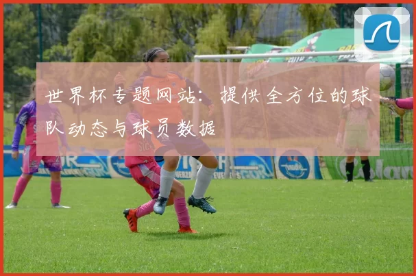 世界杯专题网站:提供全方位的球队动态与球员数据