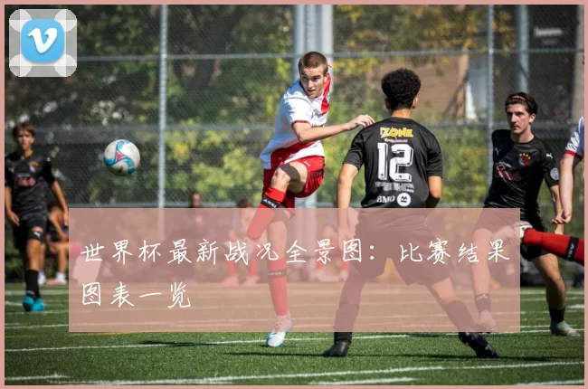 世界杯最新战况全景图:比赛结果图表一览