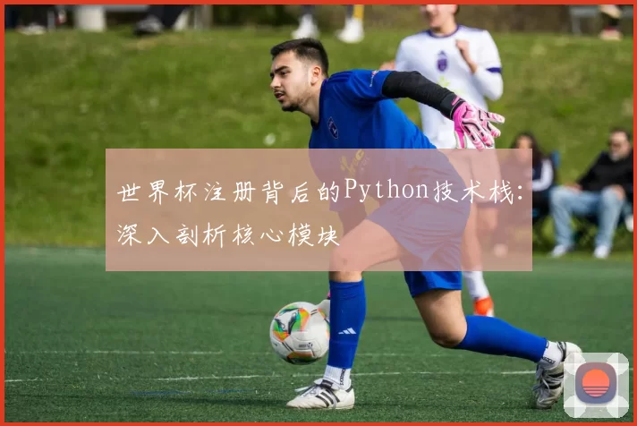 世界杯注册背后的Python技术栈:深入剖析核心模块