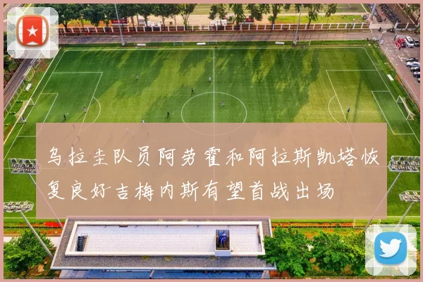 乌拉圭队员阿劳霍和阿拉斯凯塔恢复良好吉梅内斯有望首战出场