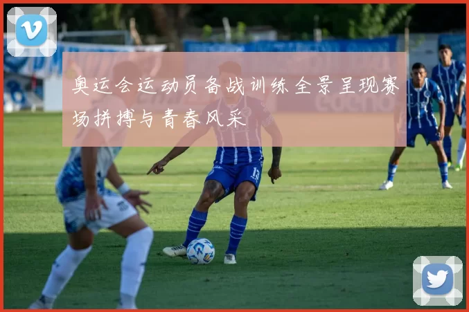 奥运会运动员备战训练全景呈现赛场拼搏与青春风采