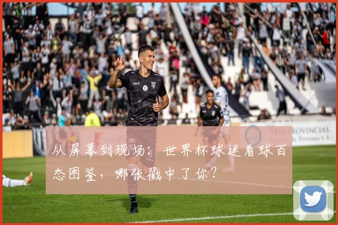 从屏幕到现场:世界杯球迷看球百态图鉴,哪张戳中了你?