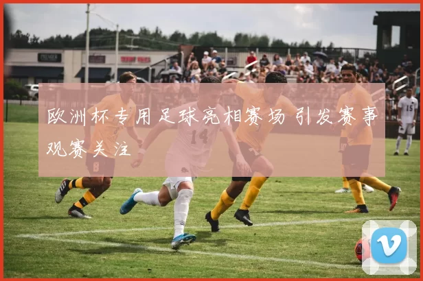 欧洲杯专用足球亮相赛场 引发赛事观赛关注