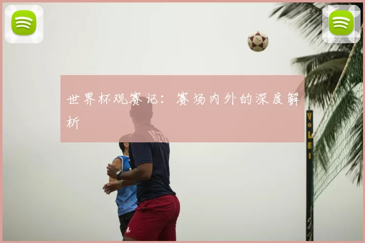 世界杯观赛记:赛场内外的深度解析