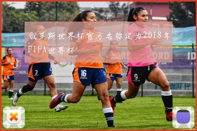 俄罗斯世界杯官方名称定为2018年FIFA世界杯