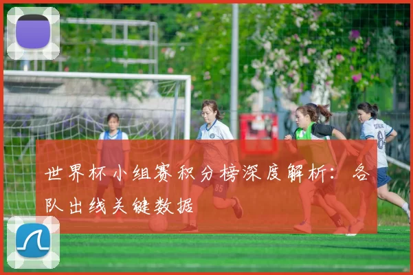 世界杯小组赛积分榜深度解析：各队出线关键数据